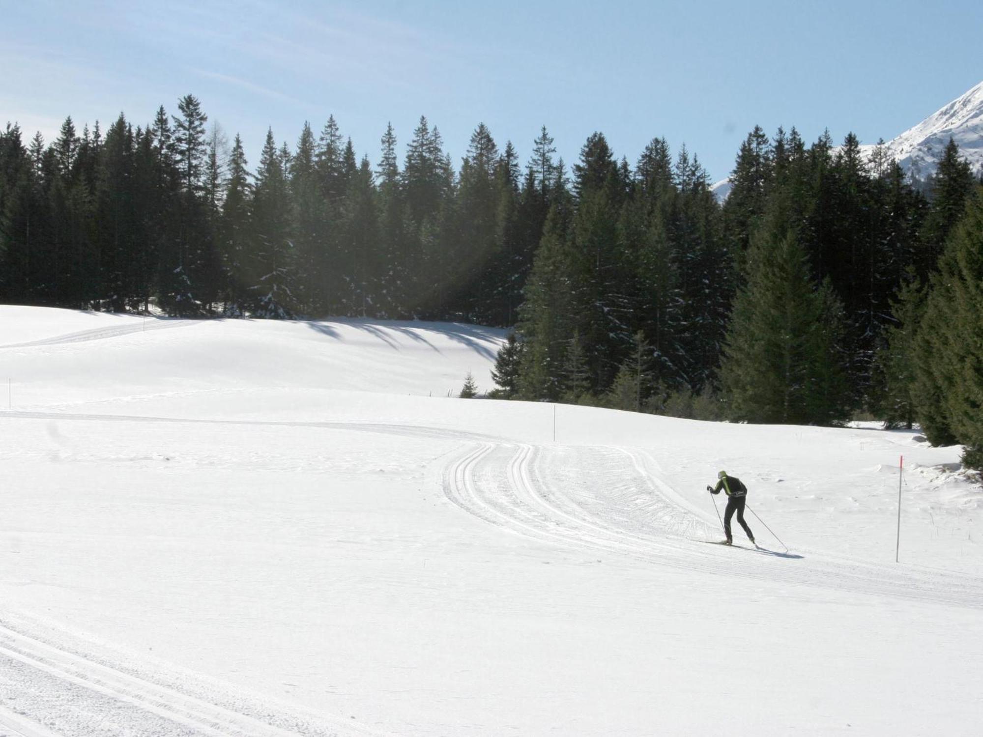 Nice Chalet In Hohentauern Styria With Sauna别墅 外观 照片