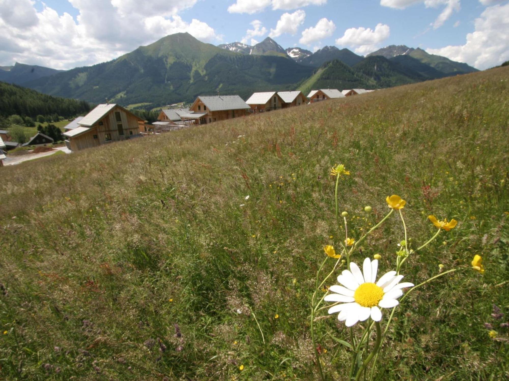Nice Chalet In Hohentauern Styria With Sauna别墅 外观 照片